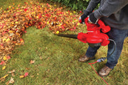 Photo of Craftsman leaf blower CMEBL7000 clearing colorful autumn leaves from grass.
