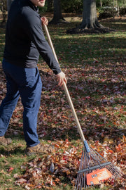 Photo of Craftsman leaf rake SKU CMXMLTP35316 being used outdoors to gather autumn leaves.